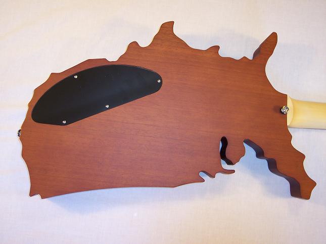Limited Edition USA Map Picture 9